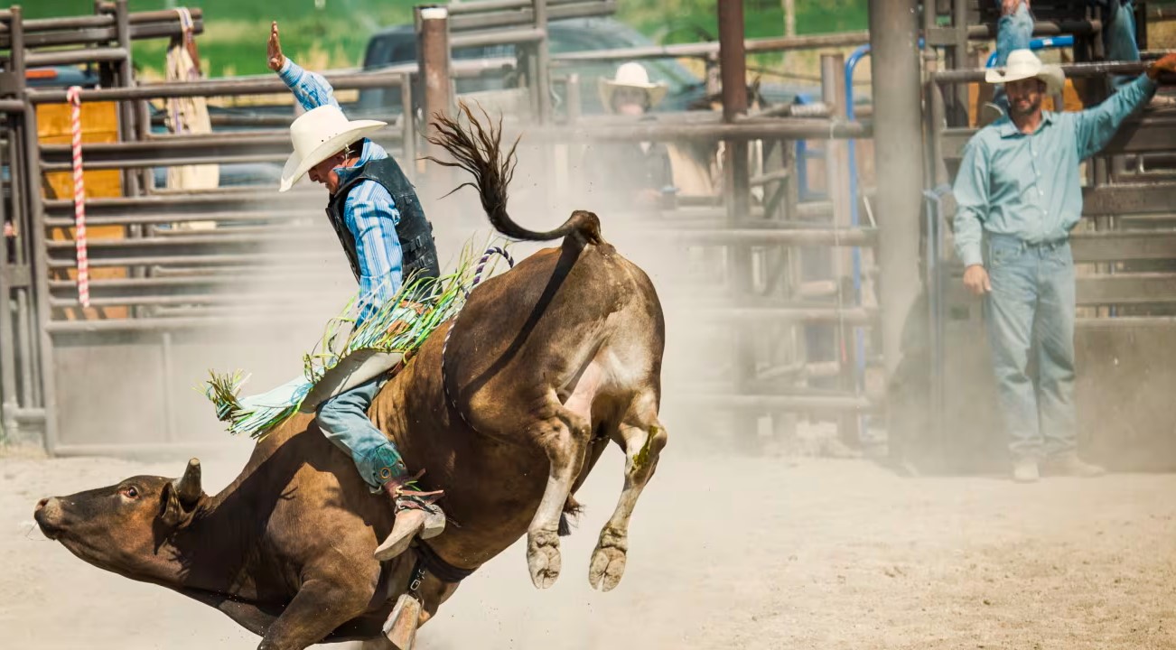 Clark Schlosser Memorial Rodeo